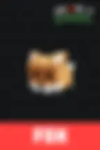 Питомец Лиса