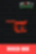 Диско пчела