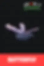 Питомец Бабочка